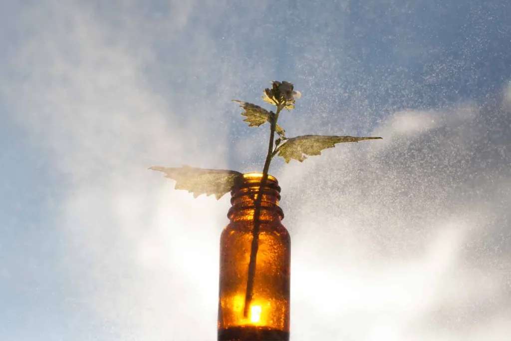 Small medicine bottle with a flower inside symbolizing emotional healing and reflection through Family Constellation therapy.